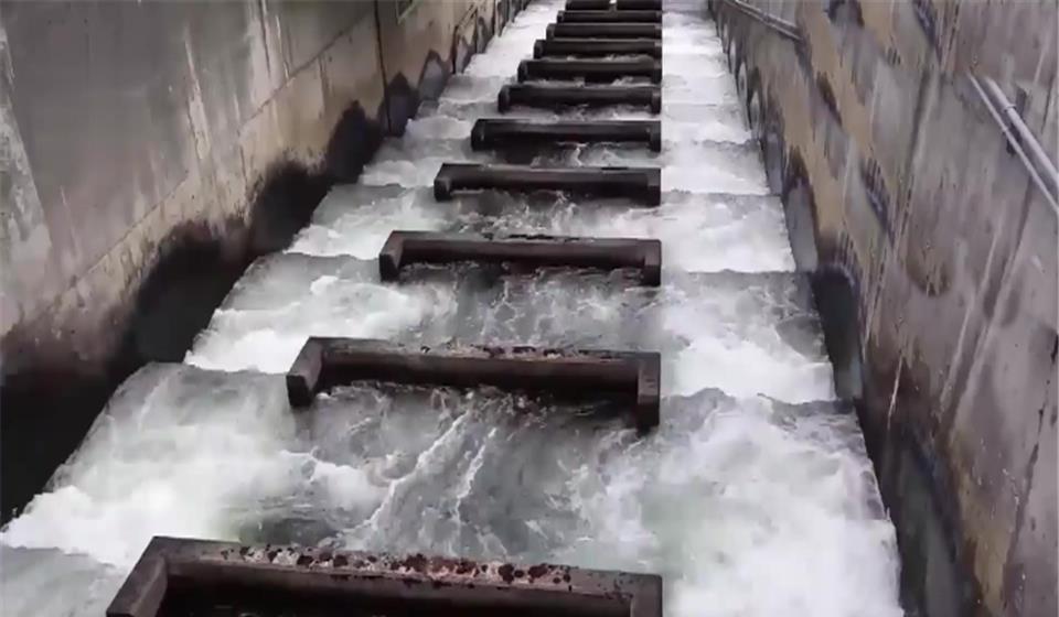 接下来这一幕太壮观了,不得不佩服