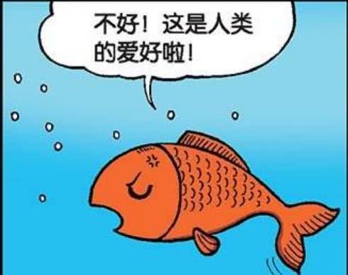 搞笑漫画:小鱼看到朋友最近喜欢上人类的一种爱好就是钓鱼