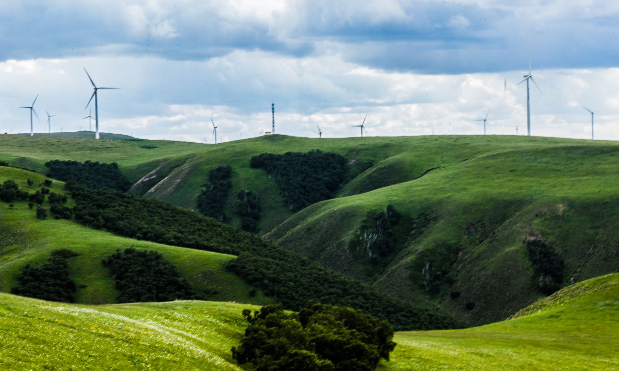 内蒙辉腾锡勒大草原上的黄花沟