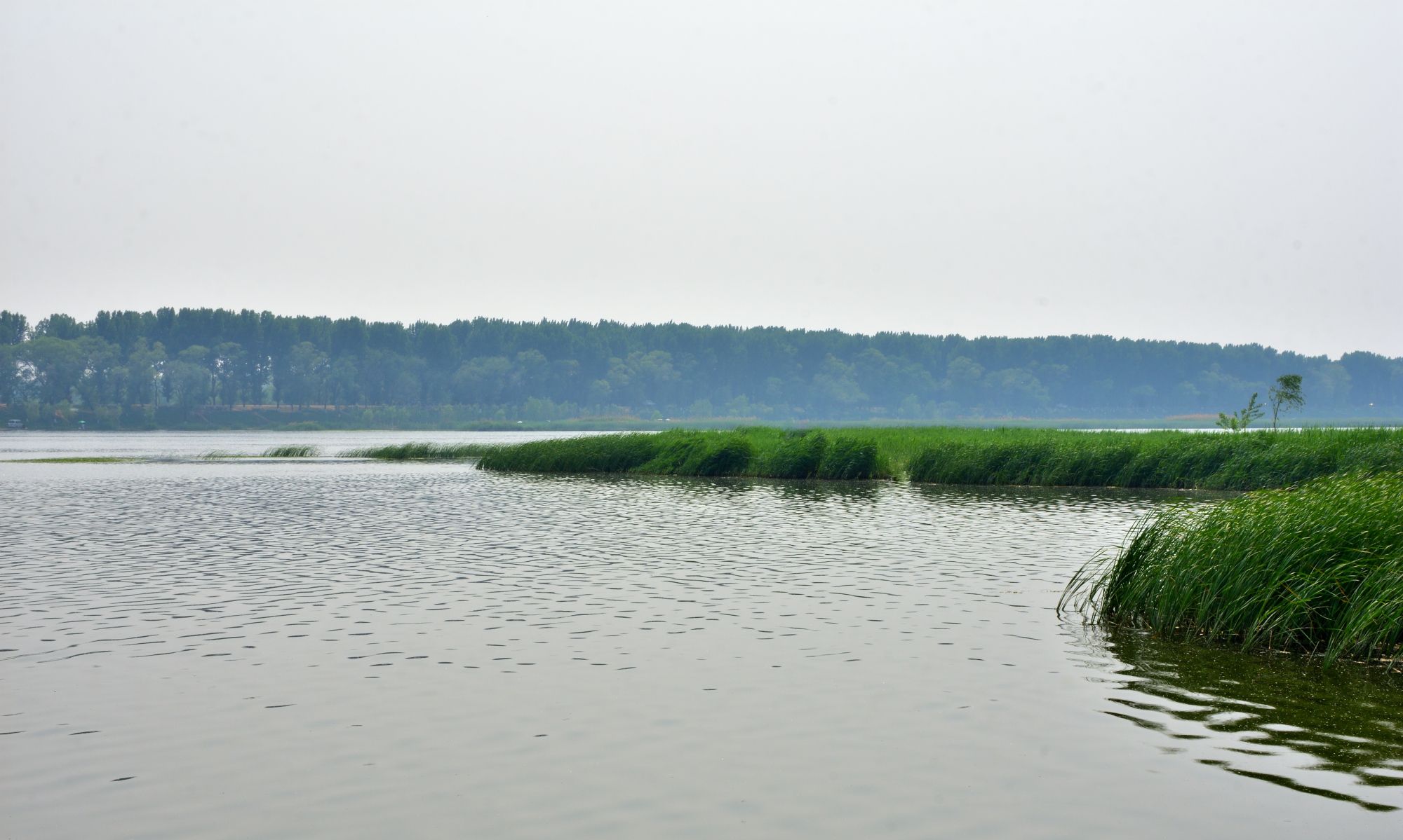 浓姿碧彩 逸态横生 天津潮白河国家湿地公园_高清图集_新浪网