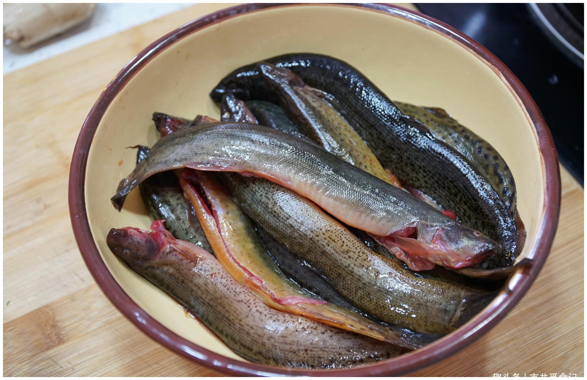 3,不可以生吃泥鳅的泥鳅体内有寄生虫以及虫卵,很多人都是听庸医的话