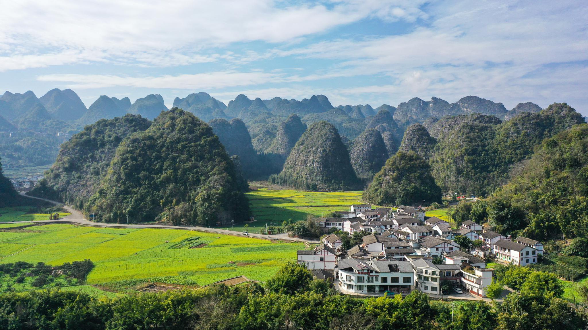 贵州兴义:油菜花开田园如画__财经头条