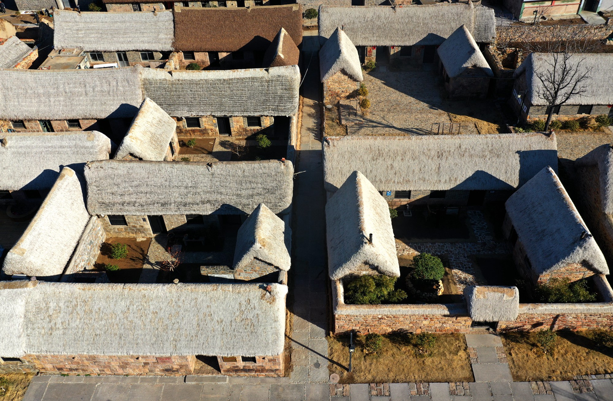 天鹅视觉的看点主页_新浪看点