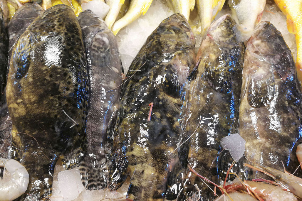 养殖的石夹子鱼,35块钱以及,摆到摊上还在活蹦乱跳的.