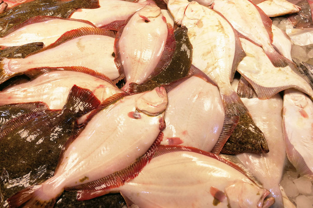 养殖的石夹子鱼,35块钱以及,摆到摊上还在活蹦乱跳的.