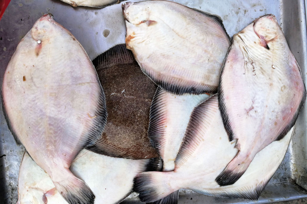 流落到菜市场的牙片鱼新鲜度也不怎么好了,但价格不降反升,要价28块钱