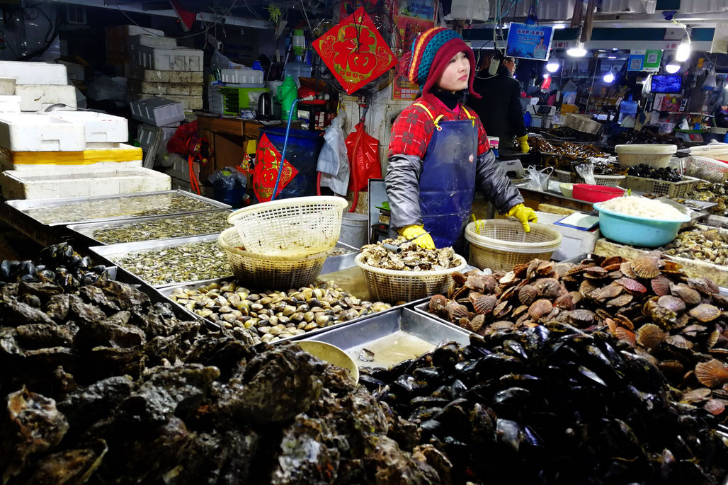 春节后青岛市场海鲜依然丰富多彩从帝王蟹到面条鱼样样有