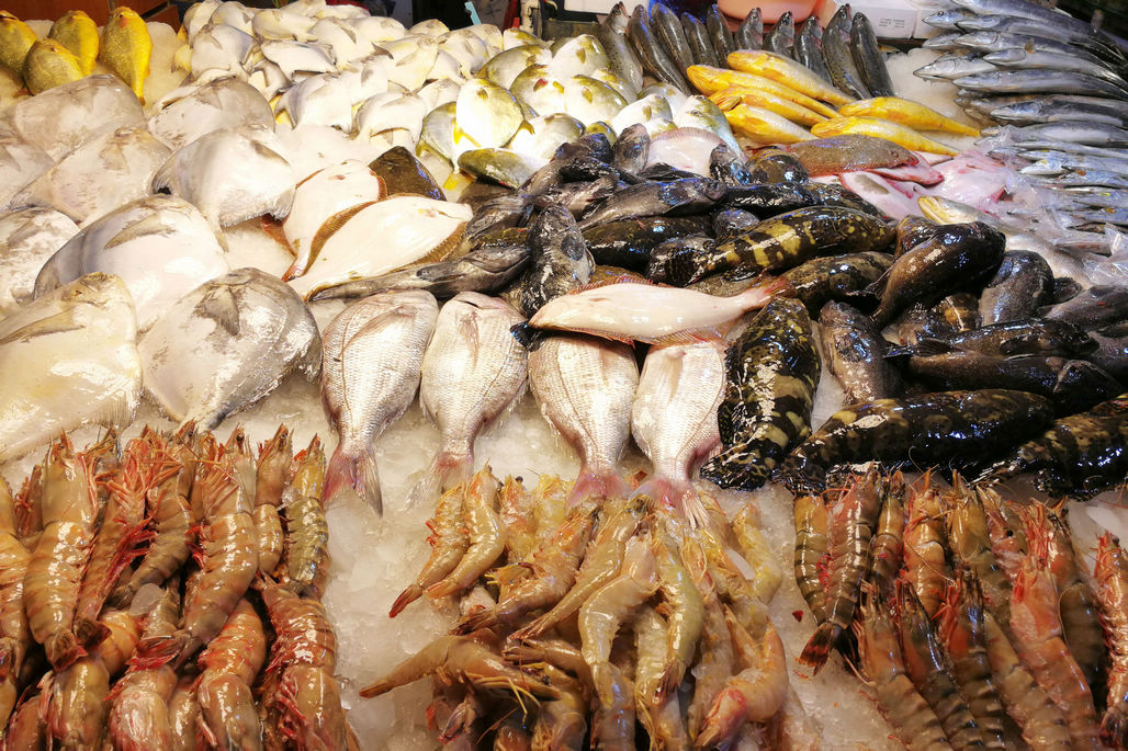 这是海鲜摊上摆放的各种海鲜,进口的,野生的,养殖的,有鱼也有虾,供应