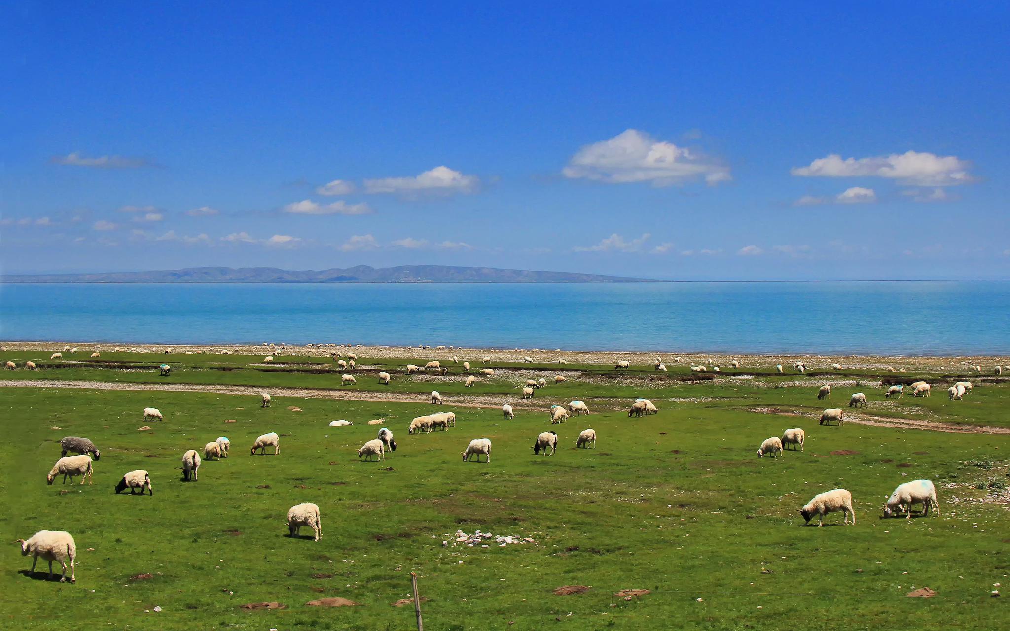 美丽青海,梦中的天堂