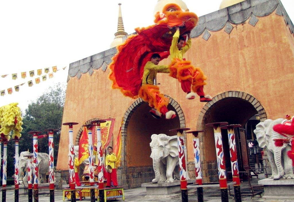 狮子并非中国的本土生物，舞狮文化从何而来？