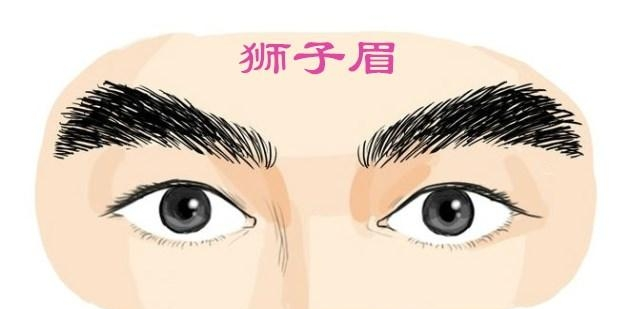 这四种富贵眉毛的男人,有横财,能出入头地,一生大富大贵