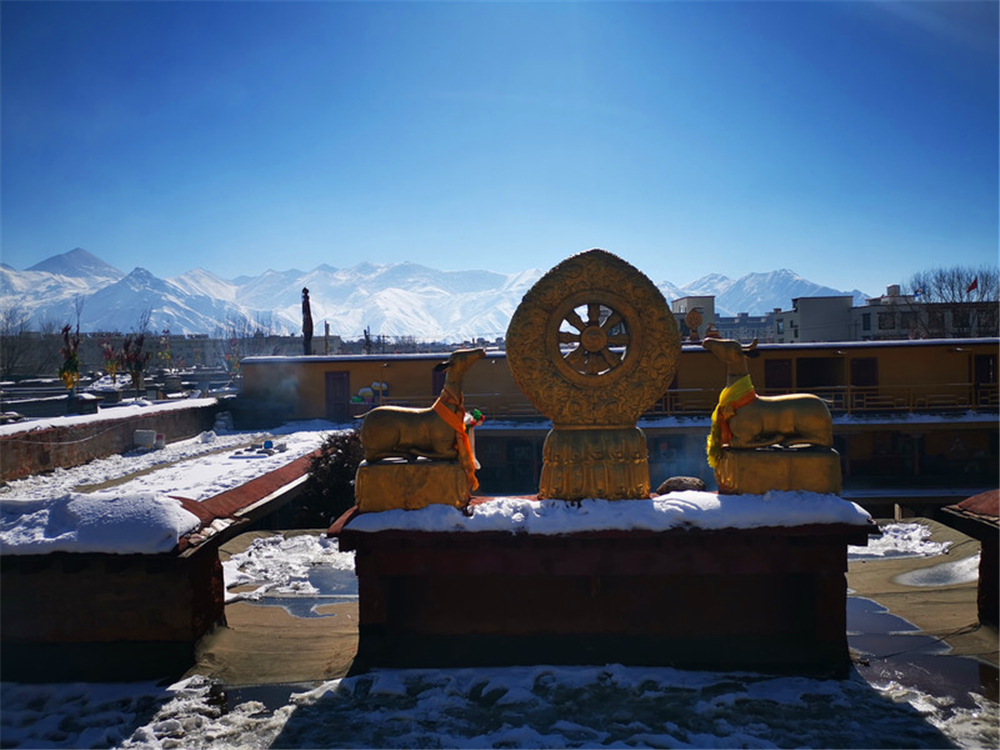 冬日雪后的西藏,不只是忘不了那桑烟的味道|扎基寺|桑烟|寺庙_新浪新闻