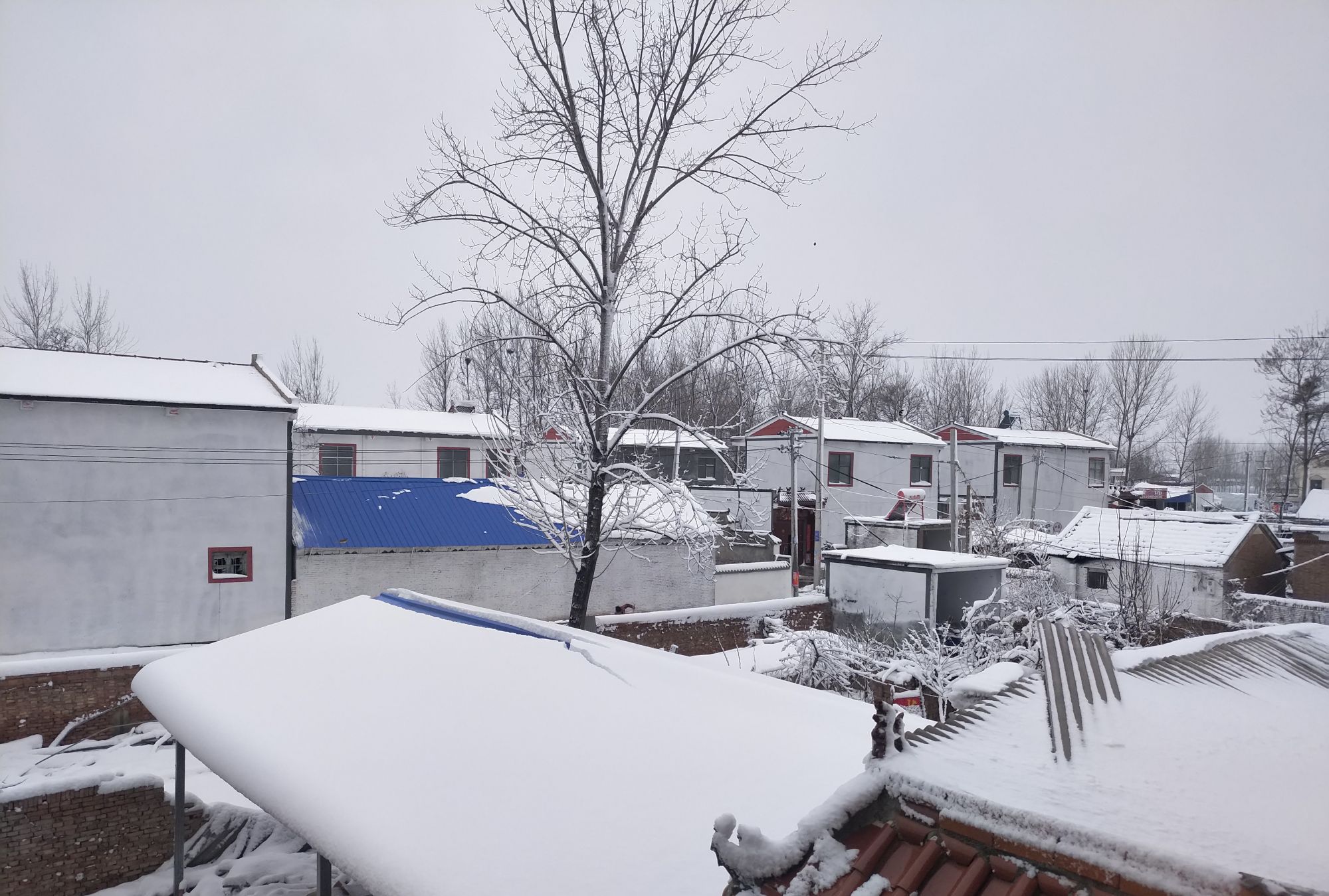 农村雪后的别样风景