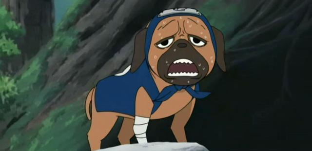 火影忍者中旗木卡卡西是如何获得帕克等八忍犬通灵兽的呢?