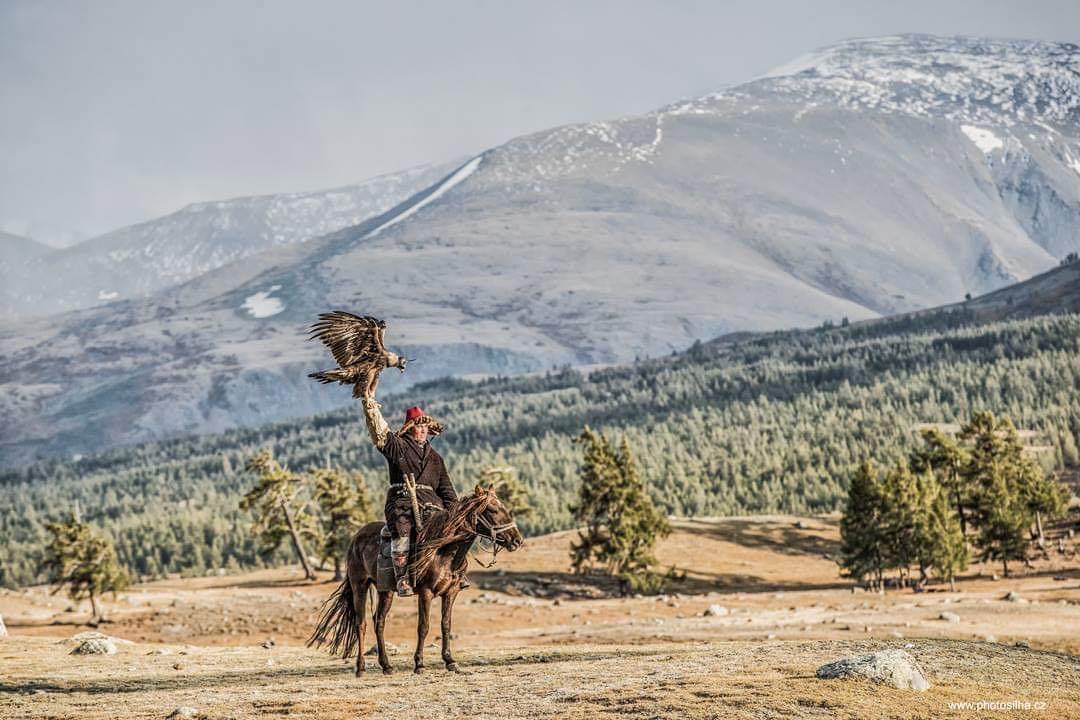 摄影欣赏鹰猎人来自草原古老的狩猎方式正逐渐消失