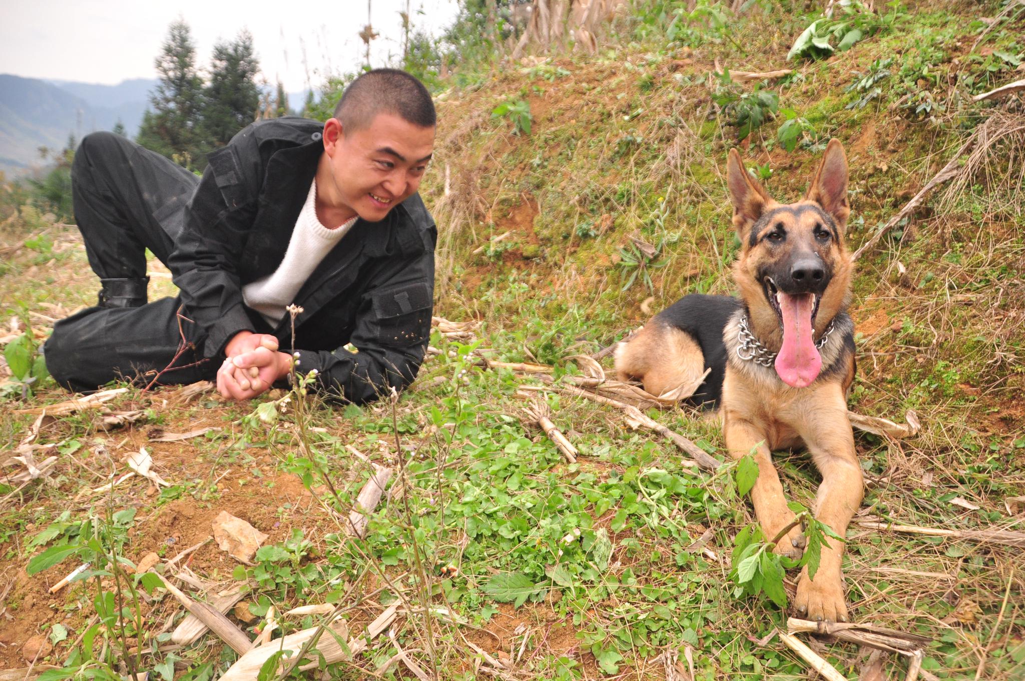 小伙好不容易买到2条纯血统的昆明犬,这气质真是棒,好犬黑背