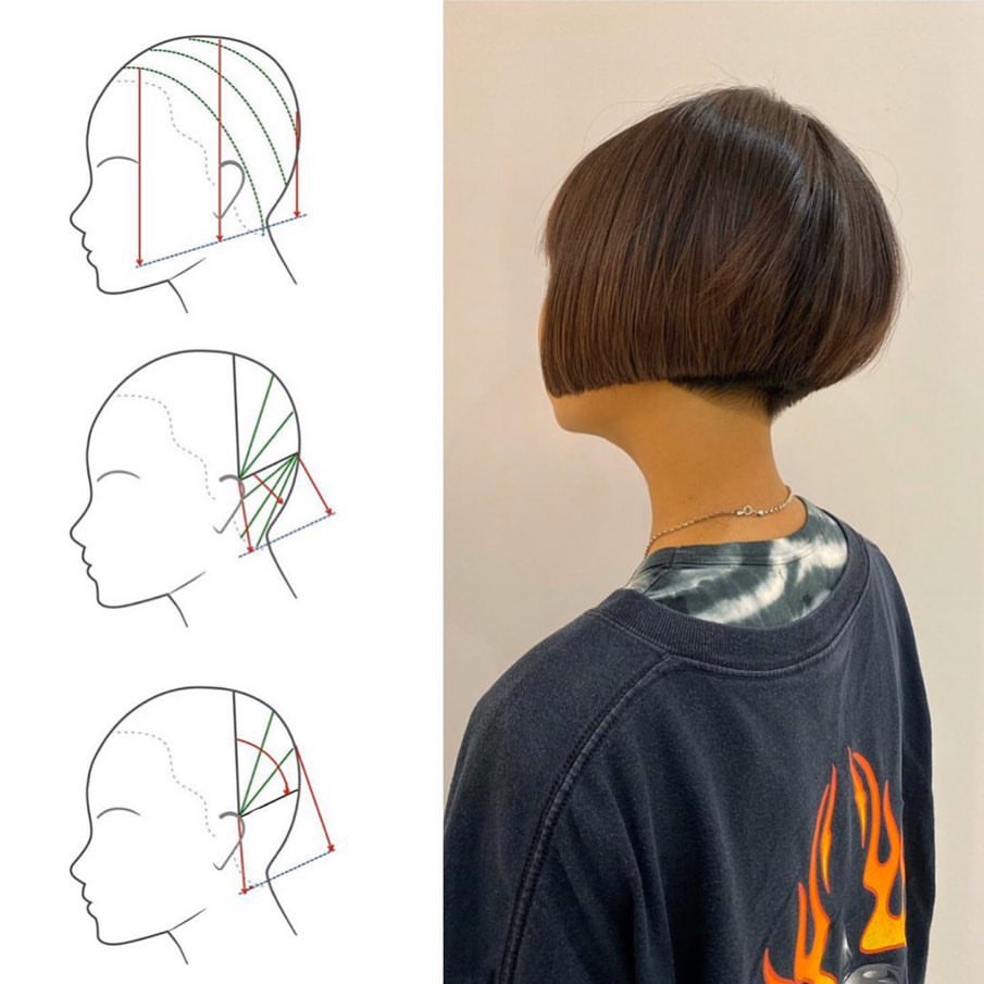 看懂这些结构图,你也是美发大师