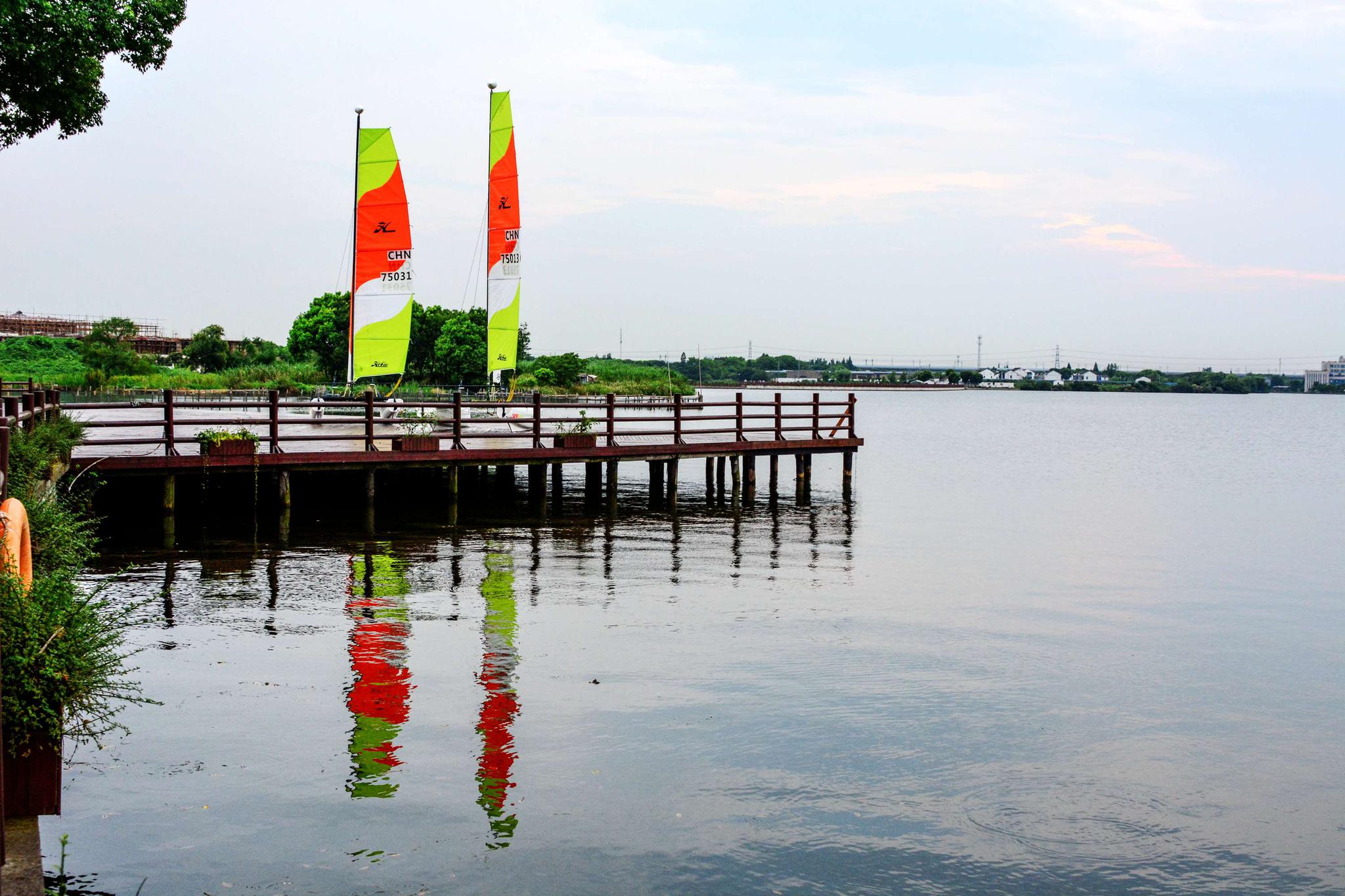 玫瑰帆影霞光里,全国青少年帆船比赛将在无锡鹅湖玫瑰园举行.