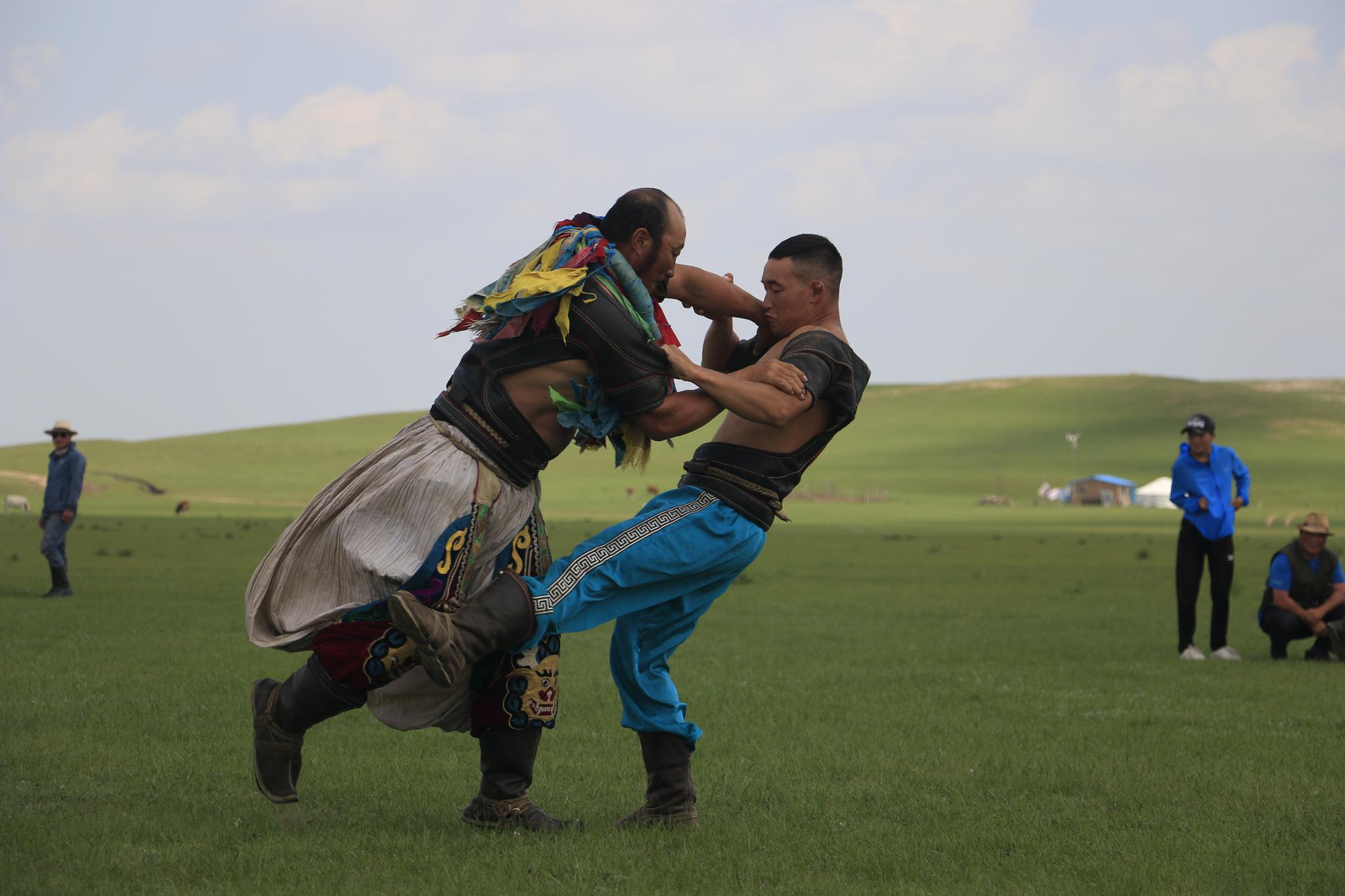摄影纪实上都蓝旗草原那达慕摔跤