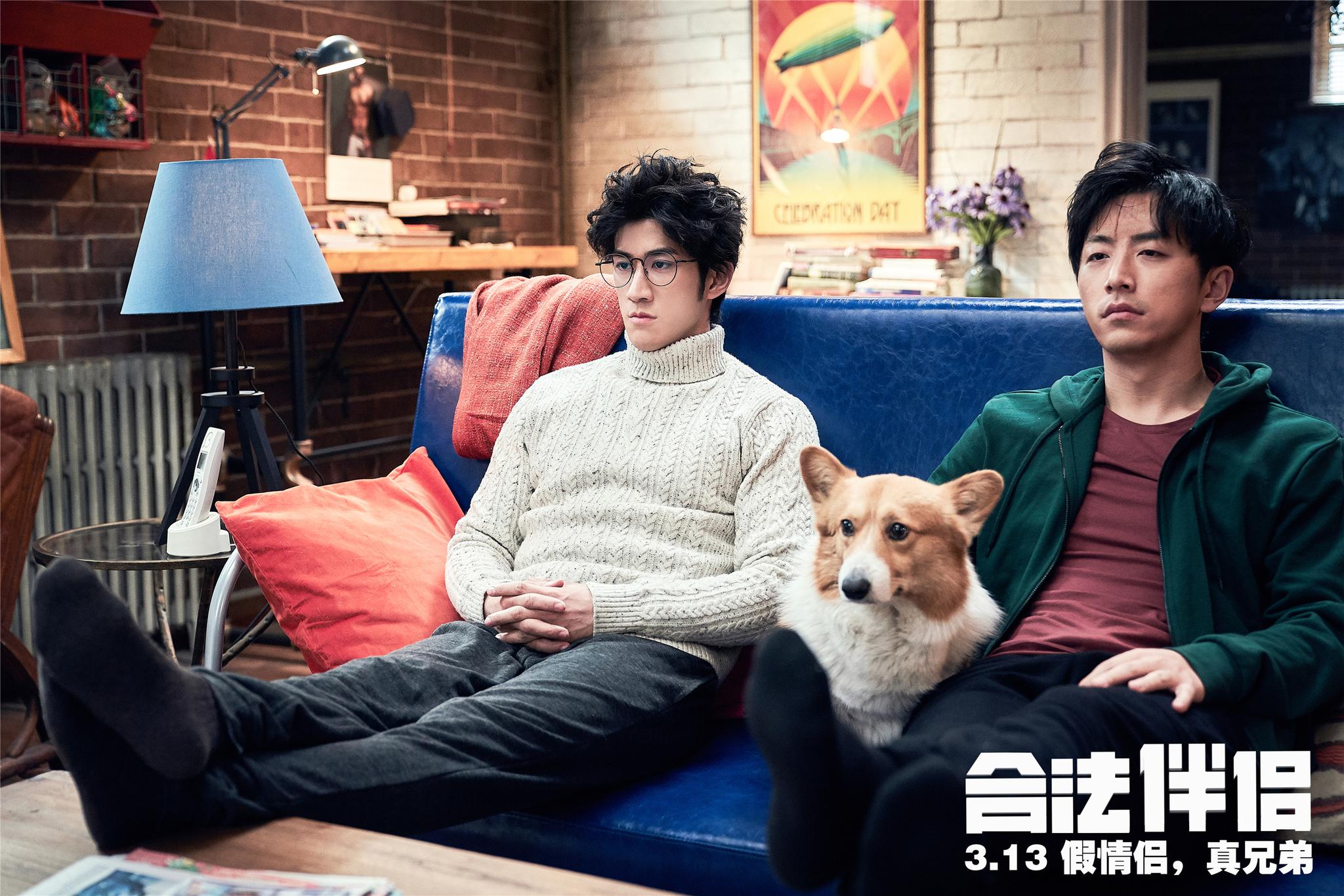 电影《合法伴侣》定档3.13 李治廷白客上演“白金