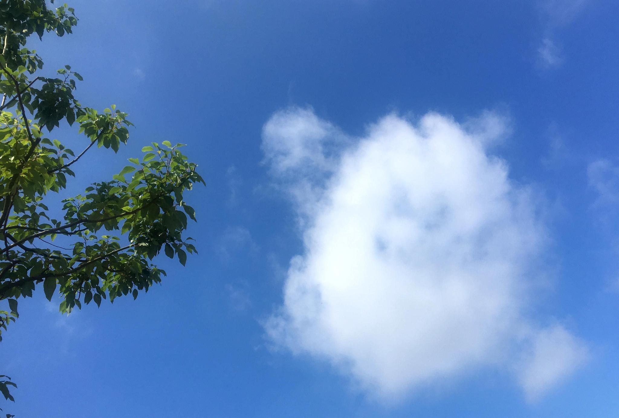 父亲节,成都这朵从小仙女逐渐魔化的云朵,你看到了吗?