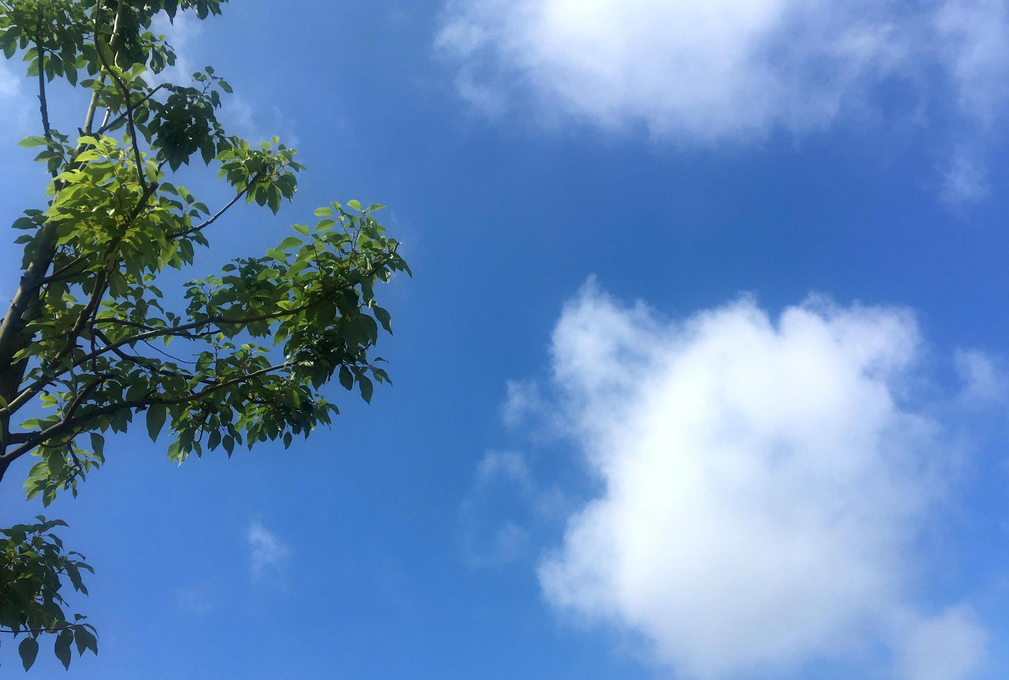 父亲节,成都这朵从小仙女逐渐魔化的云朵,你看到了吗?