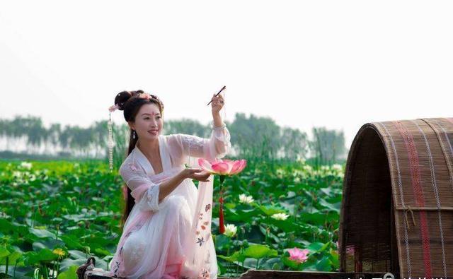 洛阳黄河滩无尽的荷塘,赏荷花邂逅小船古装佳人