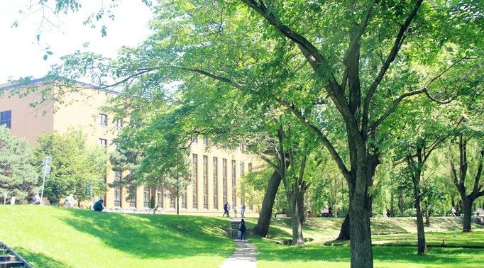 北海道大学札幌校区 像是一个公园 环境和氛围特别棒 北海道大学札幌校区 像是一个公园 环境和氛围特别棒