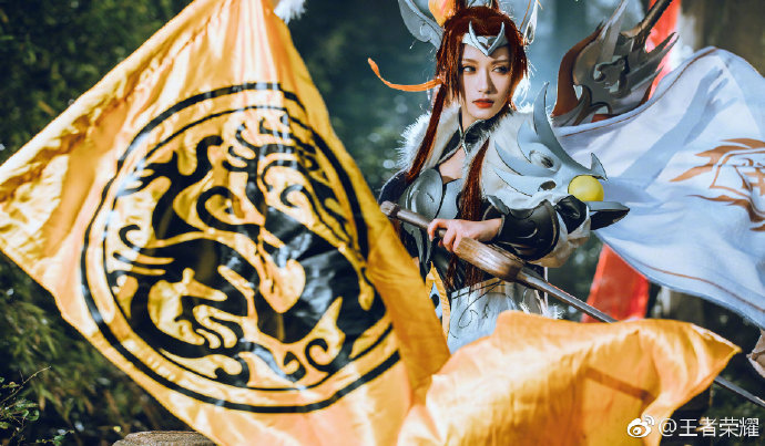 王者荣耀花木兰冠军飞将皮肤cos我无敌你随意