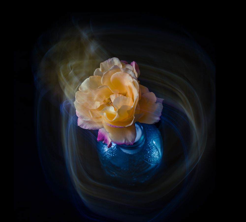 慢门动感摄影花儿的梦想虽然夜太黑我也要留下闪光的轨迹