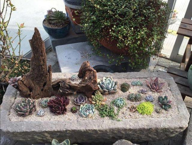 用废弃的猪槽,坛坛罐罐,养一些花花草草,太美了