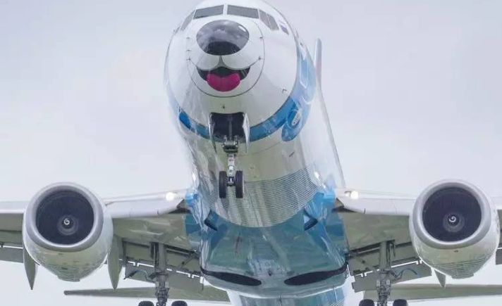 一组萌萌的飞机图片比最近萌化你的哈士奇飞机还要萌