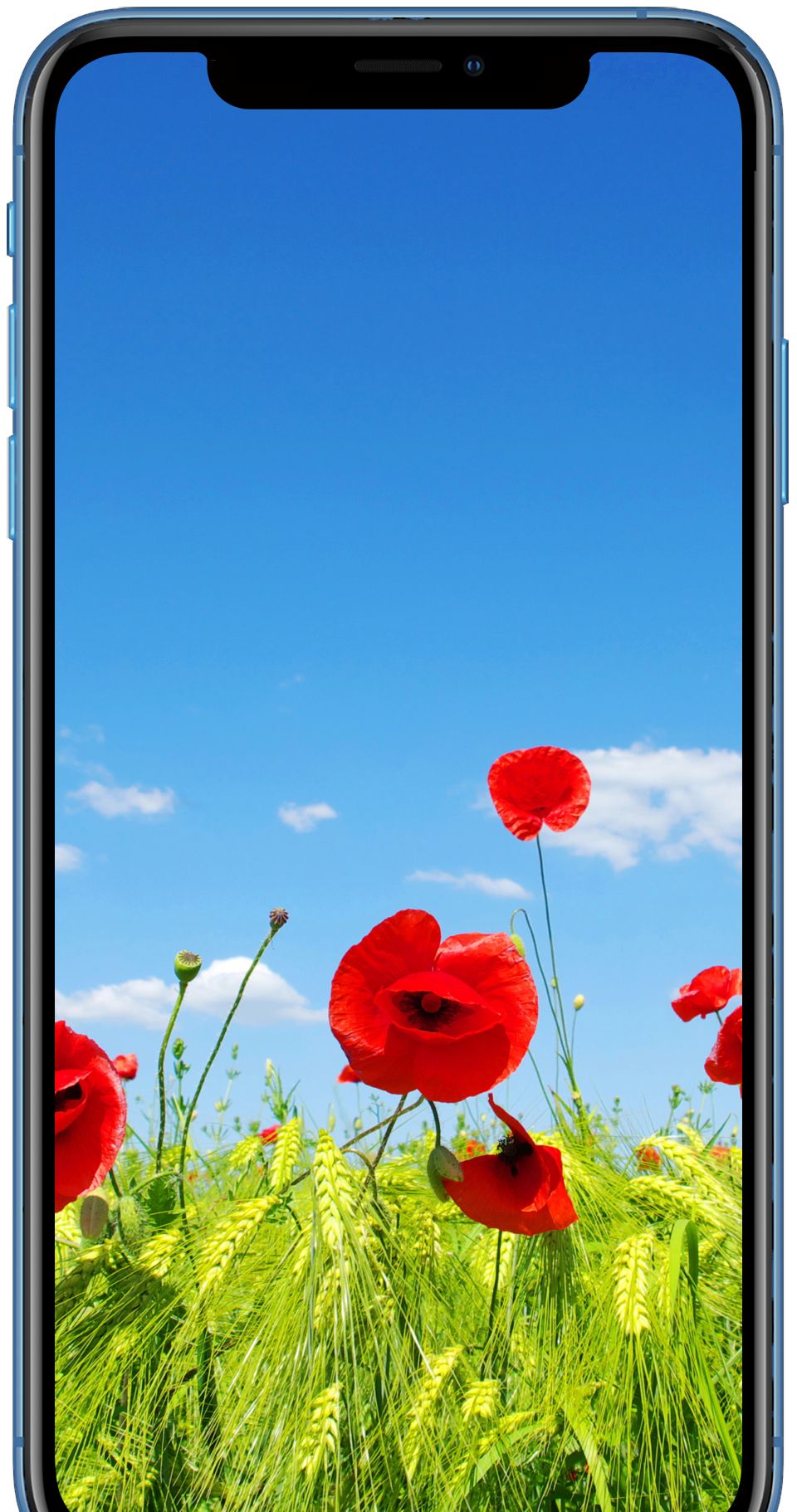 iphonex壁纸压箱底珍藏带给你最好的视觉享受