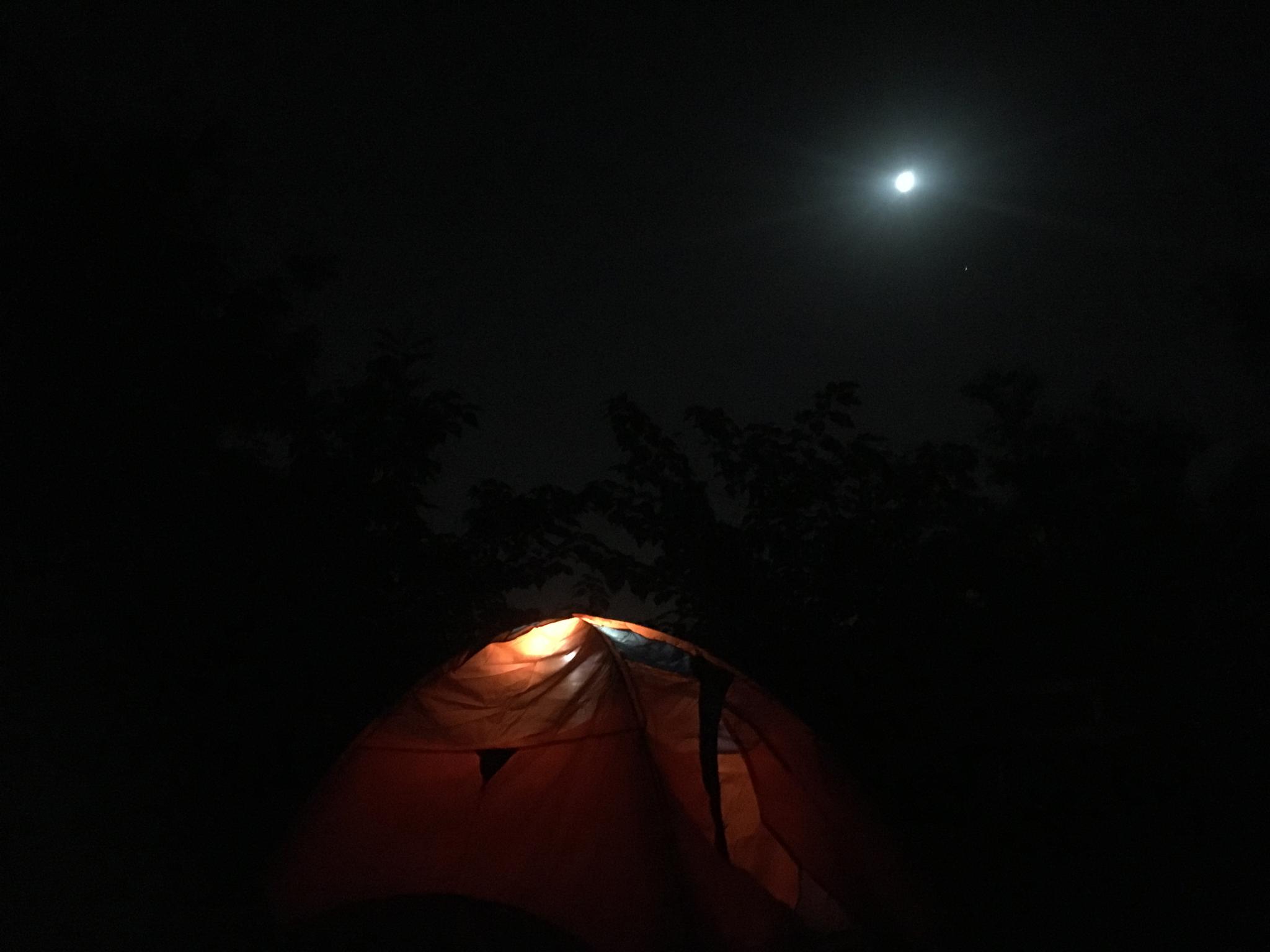 夜，黑暗中的光