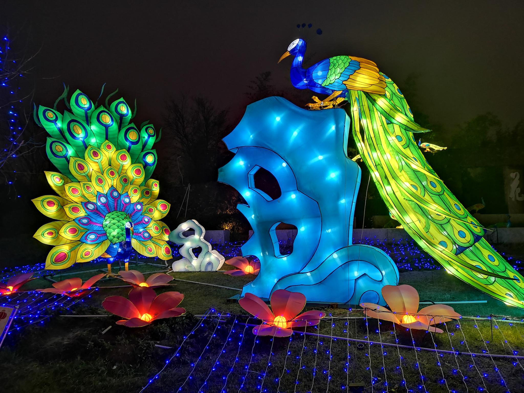 游玩武汉园博园灯会一幅幅色彩缤纷的灯组彰显出荆楚风采