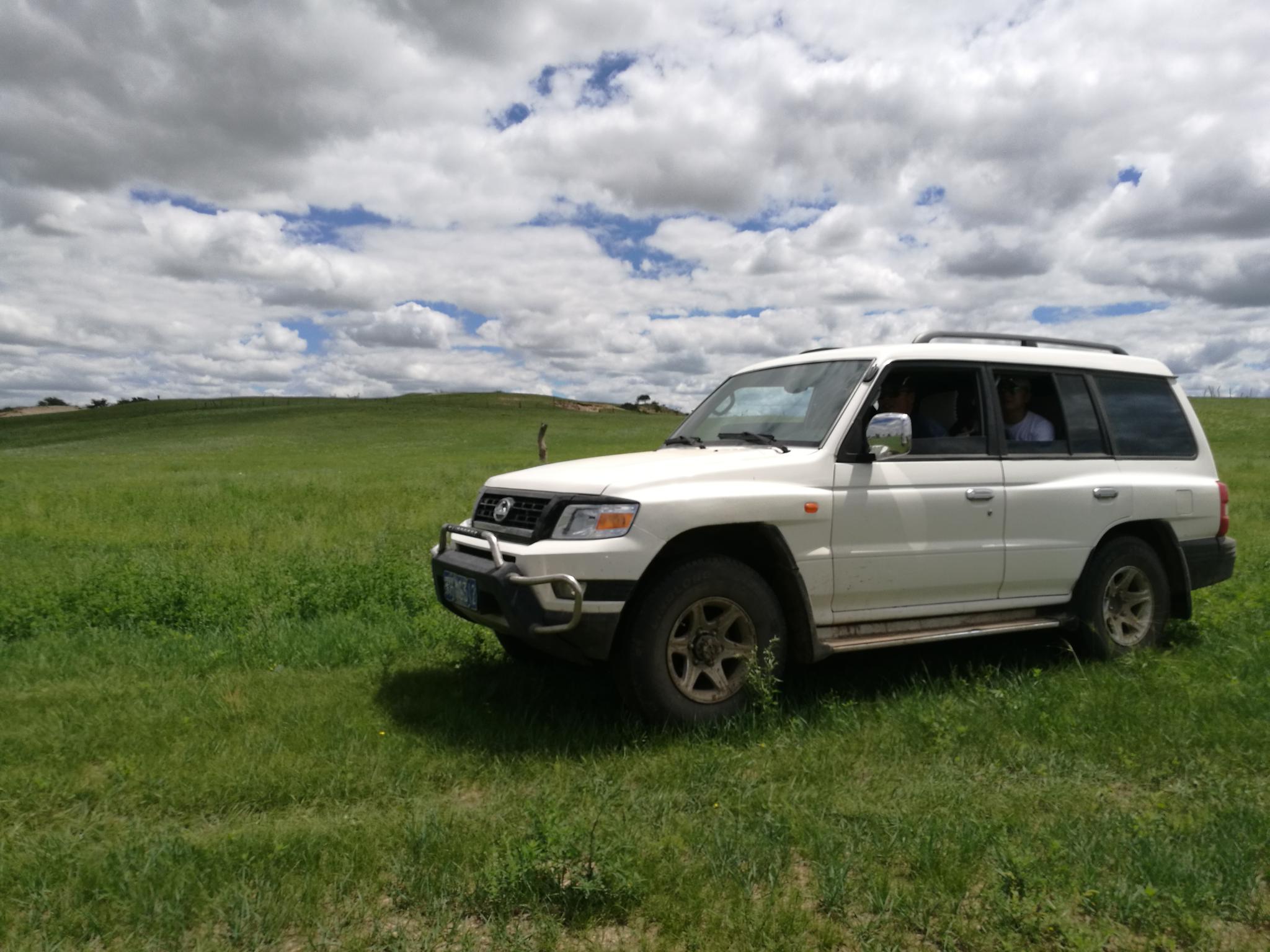 奔驰在广阔无垠的大草原