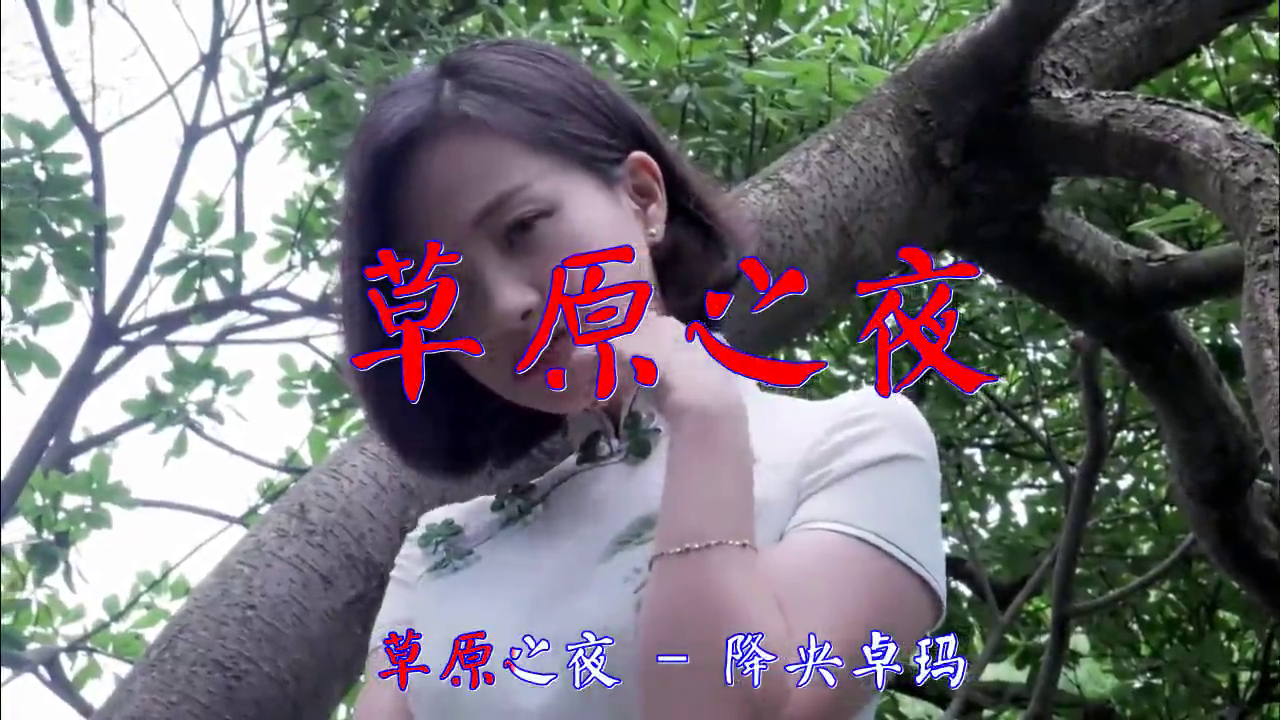 分享降央卓玛的经典歌曲《草原之夜》,热情豪放,让人热血沸腾