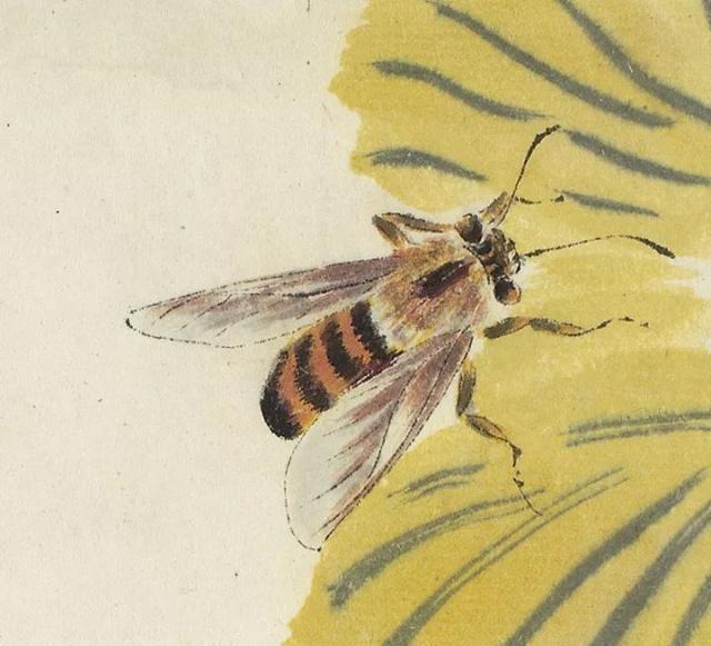 齐白石画的昆虫太过逼真公鸡看见都分辨不出放大看你就服了