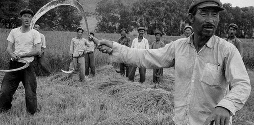 老照片:1956年的新疆 大漠风情 别具一格