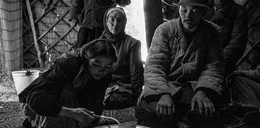 老照片:1956年的新疆 大漠风情 别具一格