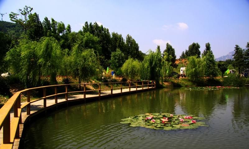 青岛二月二生态观光农场依山而建绿树环绕,青山绿水的生态庄园!