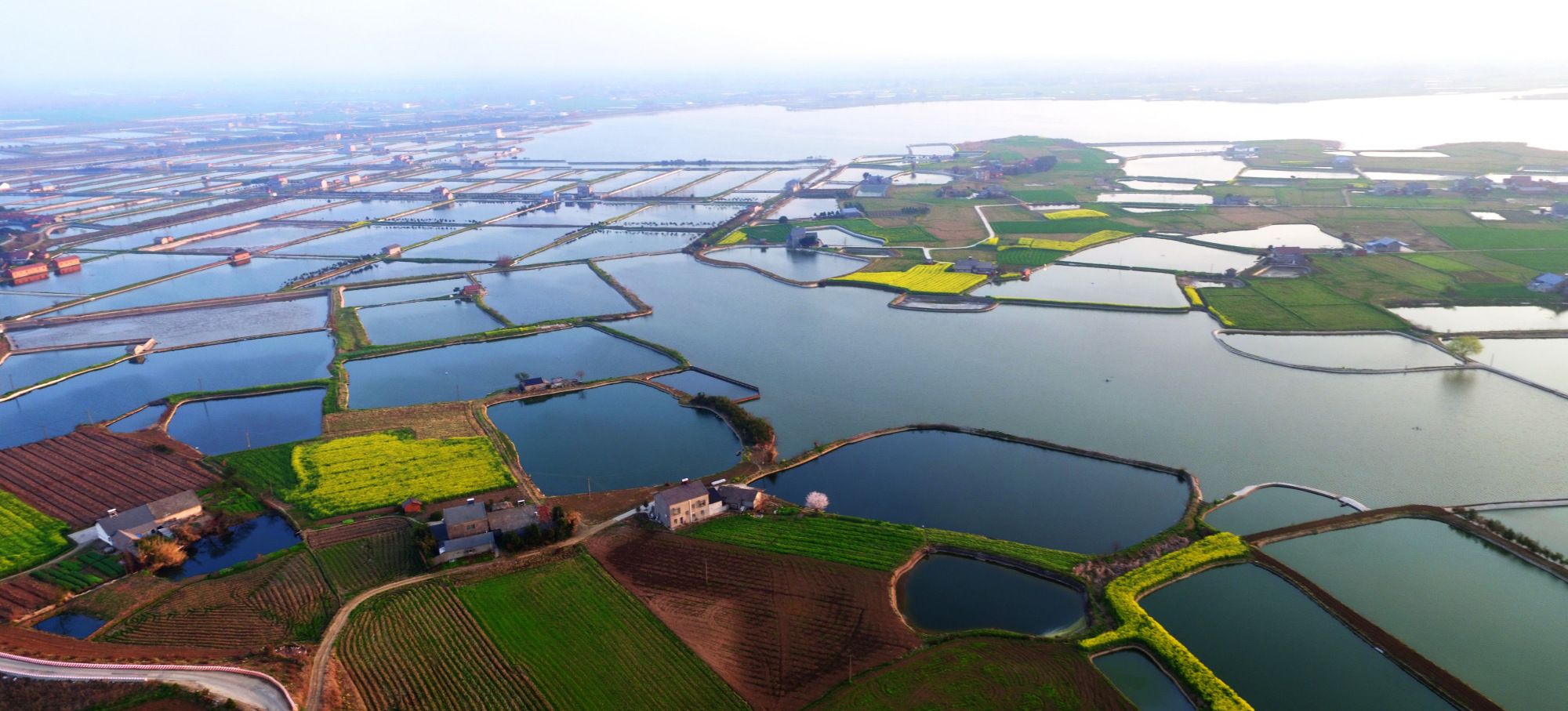 湖北枝江:最大湖泊——陶家湖