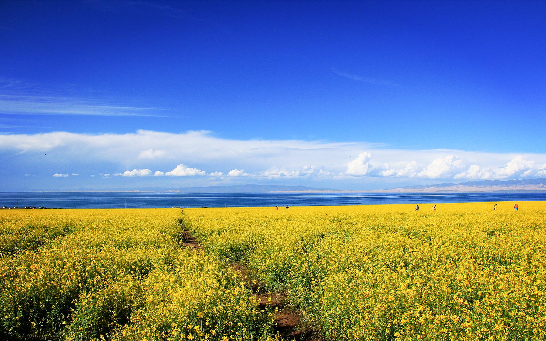 美丽青海,梦中的天堂