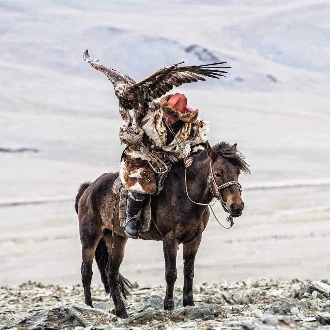 摄影欣赏鹰猎人来自草原古老的狩猎方式正逐渐消失