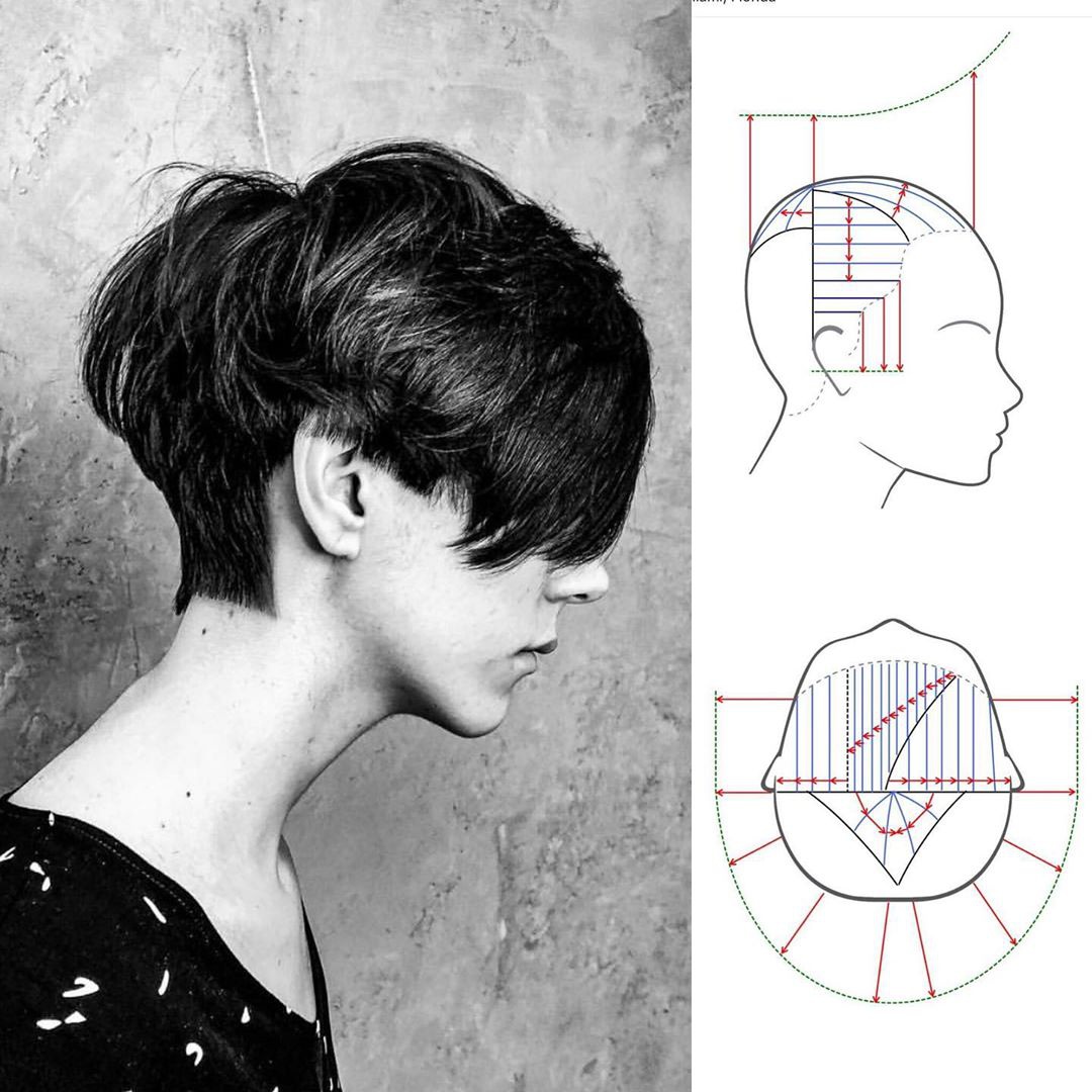 看懂这些结构图,你也是美发大师