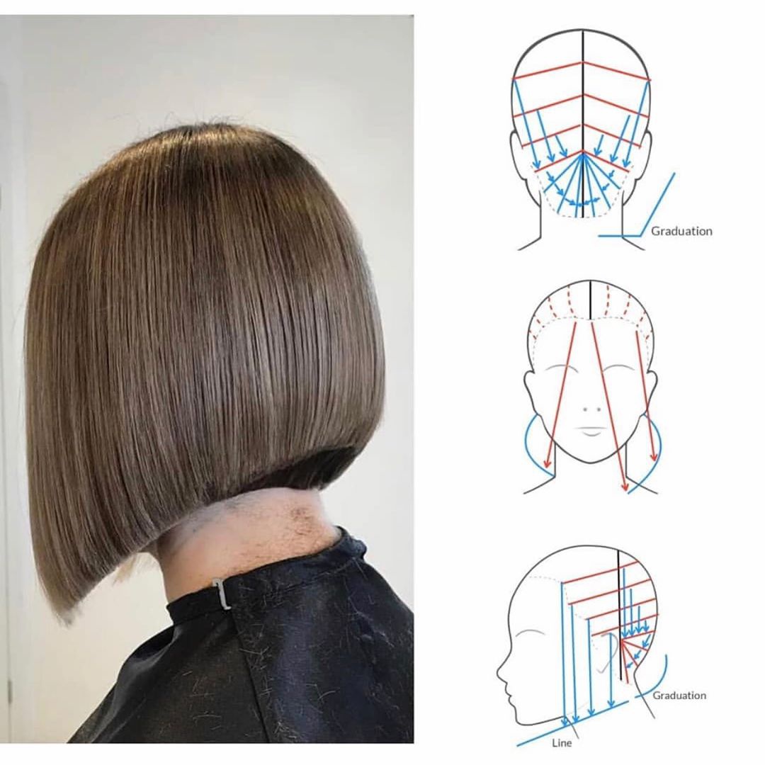 看懂这些结构图,你也是美发大师