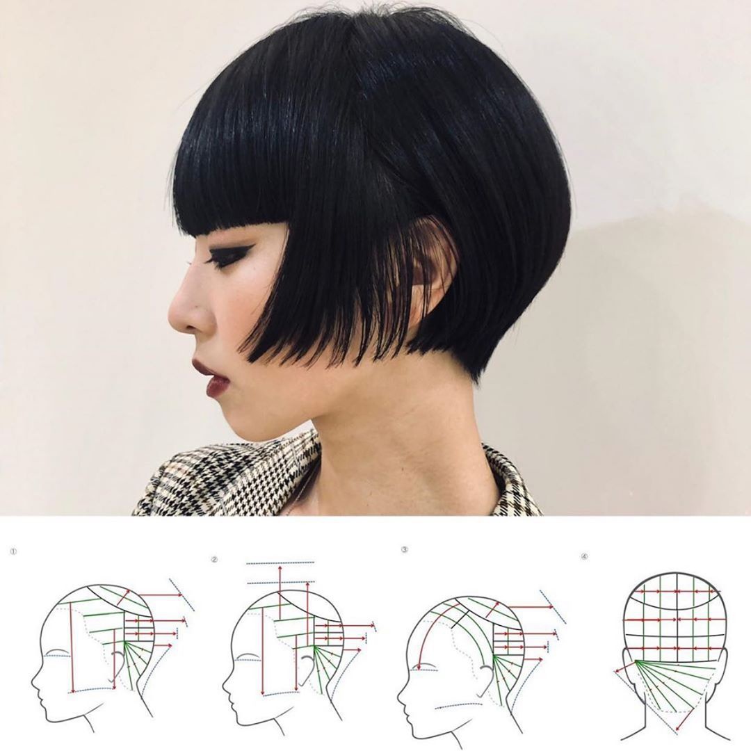 看懂这些结构图,你也是美发大师