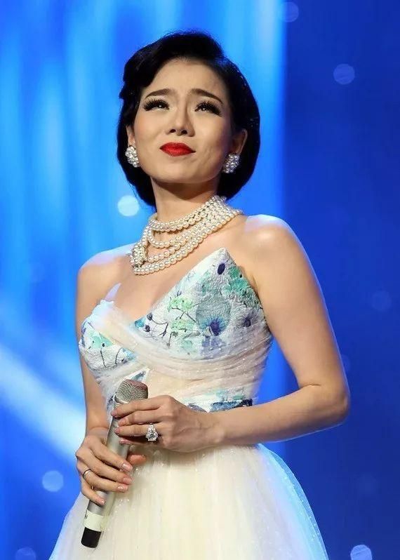越南最红歌手图片