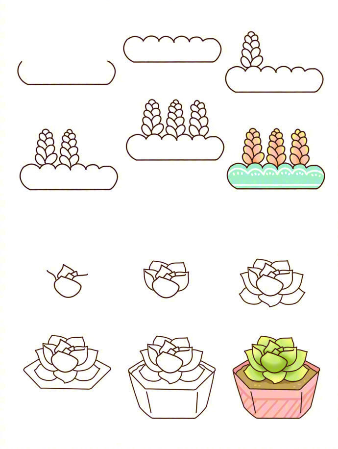 18个超萌多肉植物简笔画耶