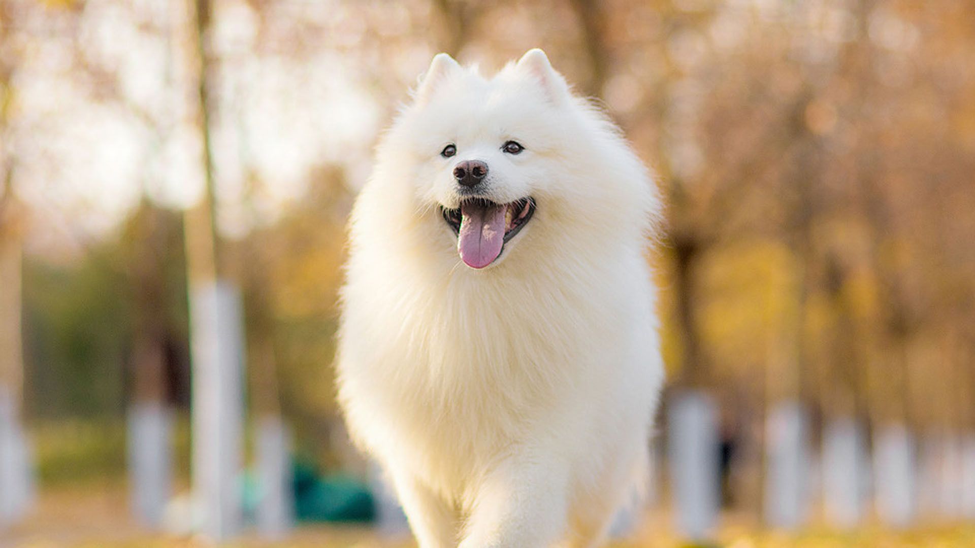 宠爱一生财富卡